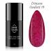 NANI gel lak Amazing Line 5 ml - Crimson Confetti