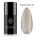 NANI gel lak Amazing Line 5 ml - Sunlit Steel