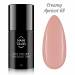 NANI gel lak Amazing Line 5 ml - Creamy Apricot