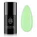 NANI gel lak Amazing Line 5 ml - Vivid Leaf