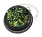 Pigment lustruire NANI Aurora Gold Green