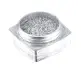 NANI lešticí pigment Chromatic Mirror - Silver
