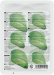 Kocostar pleťová maska Slice Mask Sheet Aloe 20 ml