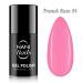 Oja semipermanenta NANI Amazing Line 5 ml - French Rose