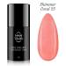 NANI gel lak Amazing Line 5 ml - Shimmer Coral