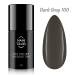 NANI gél lak Amazing Line 5 ml - Dark Grey