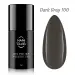 NANI gél lak Amazing Line 5 ml - Dark Grey