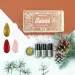 NANI kolekce gel laků Sweet Christmas + zdobení