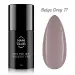 NANI gel lak Amazing Line 5 ml - Beige Grey