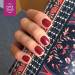 NANI gel lak Amazing Line 5 ml - Maroon Lady