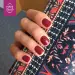 NANI gel lak Amazing Line 5 ml - Maroon Lady