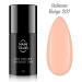 NANI gel lak Amazing Line 5 ml - Salmon Beige