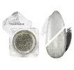 Pigment za nohte z efektom sijaja NANI Silver Champagne