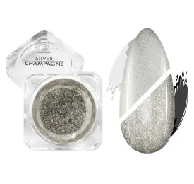 NANI leštiaci pigment Silver Champagne