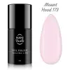 NANI gel lak Amazing Line 5 ml - Mount Hood