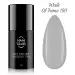 NANI gél lak Amazing Line 5 ml - Walk of Fame