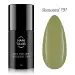 NANI gel lak Amazing Line 5 ml - Seaweed