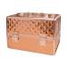 NANI kosmetický kufřík NN99 - 3D Rose Gold