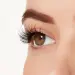 Ardell pestanas postiças - Wispies 700