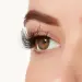 Ardell nalepovacie riasy - Wispies 704