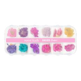 NANI dried flowers - Full Blooms Set