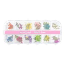 NANI dried flowers - Botanic Dream