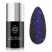 NANI trajni lak 5 ml - Sparkle Top Matt