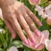 NANI verniz gel 6 ml - Pinky Dream