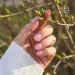 NANI verniz gel Amazing Line 5 ml - Pink Sky