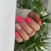 NANI gel lak Premium 6 ml - Berry Shine