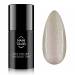 NANI trajni lak Amazing Line 5 ml - Sunlit Steel