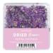 NANI dried flowers - Purple Madness