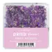 NANI dried flowers - Purple Madness