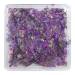 NANI dried flowers - Purple Madness