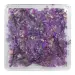NANI dried flowers - Purple Madness
