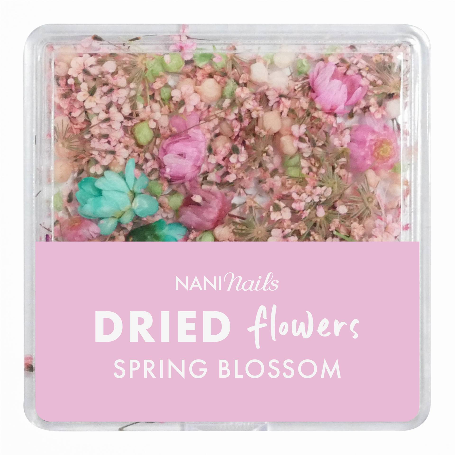 NANI dried flowers - Spring Blossom