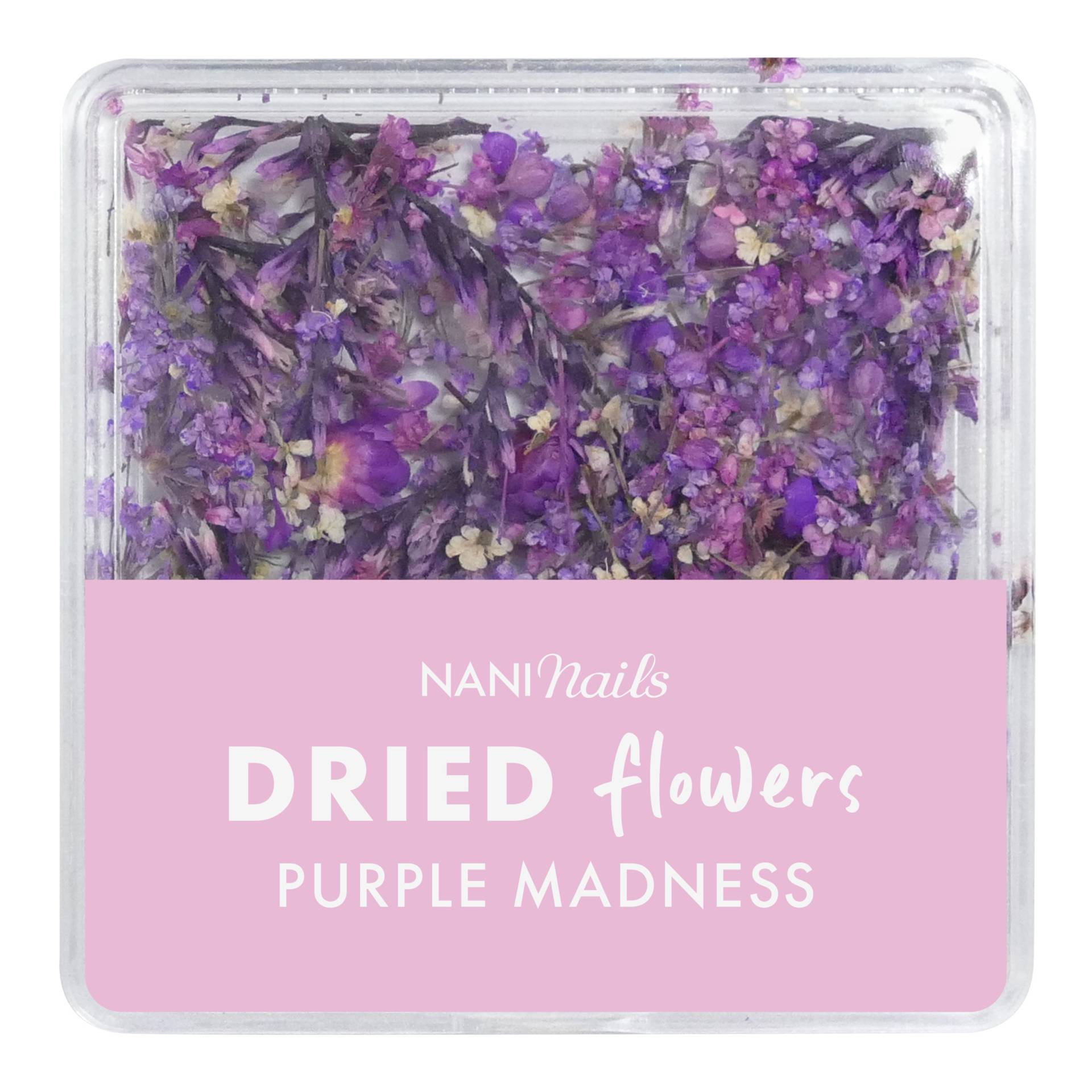 NANI dried flowers - Purple Madness