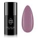 NANI verniz gel One Step 5 ml - Liliane