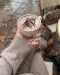 NANI trajni lak 6 ml – Hot Milk Chocolate