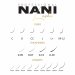 NANILashes βλεφαρίδες Easy Fan C / 0.05 x 11 mm
