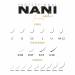 NANILashes βλεφαρίδες Easy Fan C / 0.05 x 11 mm