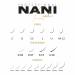 NANILashes βλεφαρίδες Easy Fan C / 0.07 x 14 mm