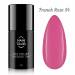 NANI trajni lak Amazing Line 5 ml - French Rose