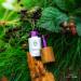 NANI trajni lak Simply Pure 5 ml - Cloverfield
