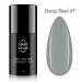 NANI trajni lak Amazing Line 5 ml - Dusty Steel