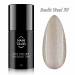 NANI trajni lak Amazing Line 5 ml - Sunlit Steel