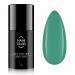 NANI trajni lak One Step 5 ml - Deep Green