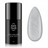 NANI trajni lak One Step 5 ml - Glitter Steel