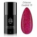 NANI gél lakk Amazing Line 5 ml - Crimson Confetti