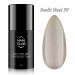NANI gél lakk Amazing Line 5 ml - Sunlit Steel